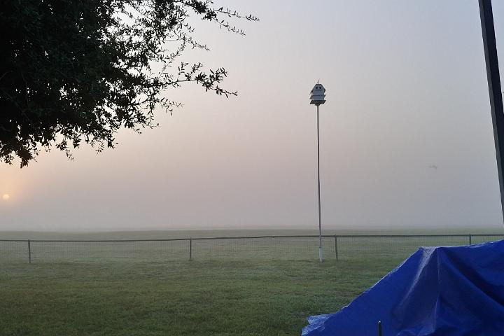 photo 067